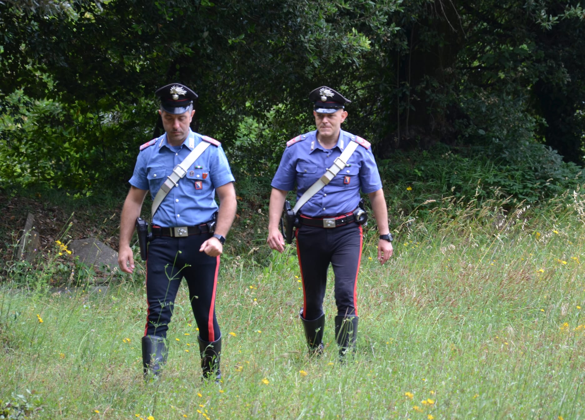 Donori, 62enne sorpreso a rubare ortaggi dal campo di un compaesano