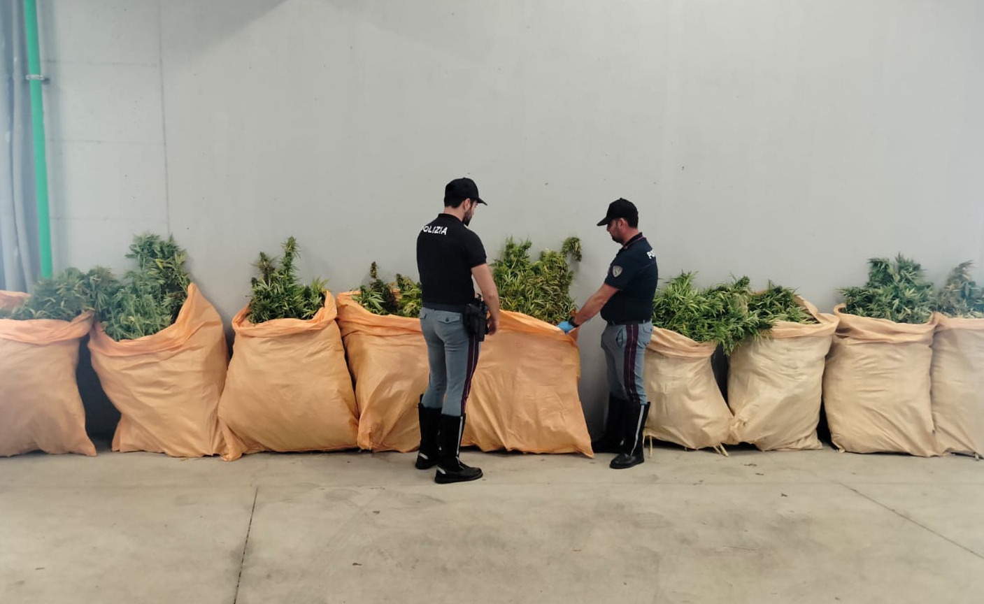 Marijuana in Sardegna, raffica di sequestri: 300 chili trovati dentro un camion