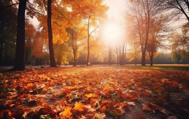Meteo Casteddu, ultimo weekend di ottobre senza pioggia e con punte di 26 gradi