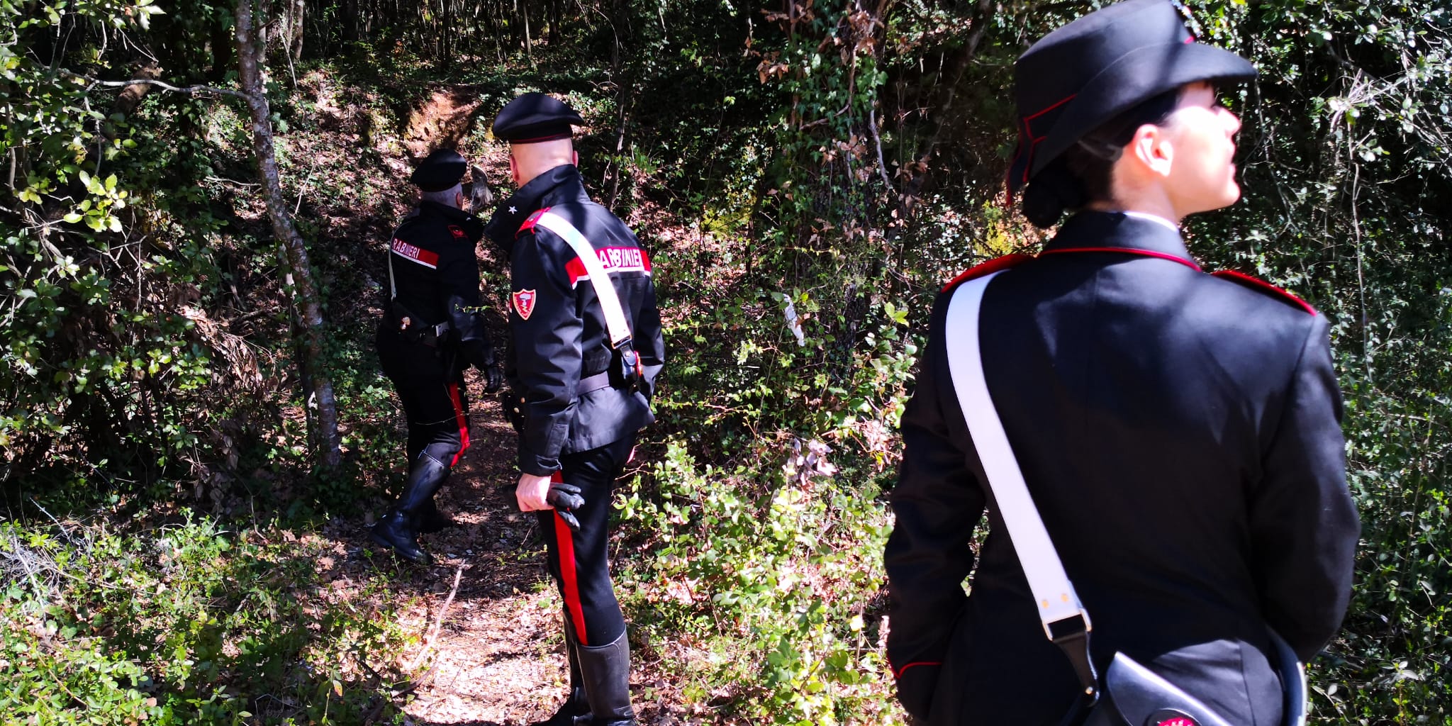 Quartu, caccia proibita agli uccellini per le grive: sequestrate trappole nell’oasi di Molentargius
