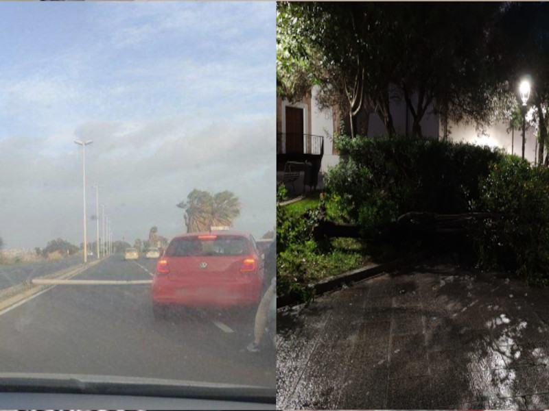 Tempesta di vento sulla Sardegna, al Poetto crolla un palo e alberi sradicati da Quartu a Maracalagonis