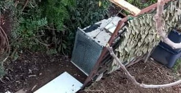 Pirri, trappola artigianale acchiappa gatti in un cortile privato