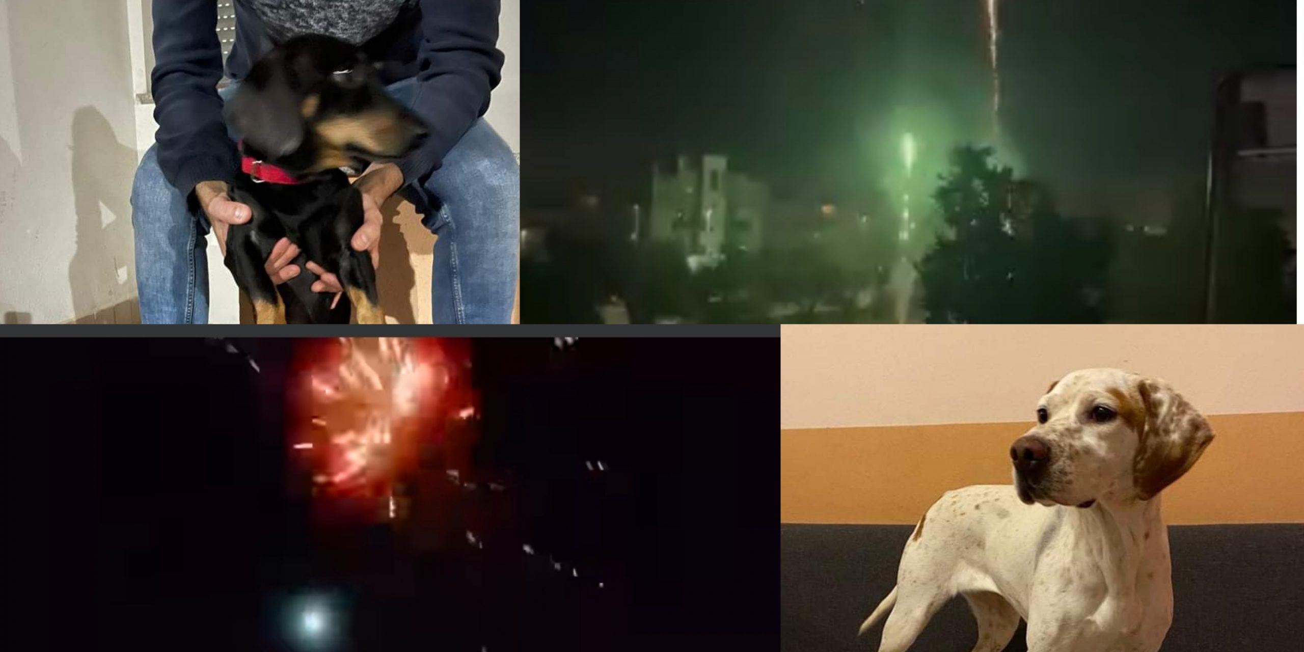 Il flop delle ordinanze: fuochi d’artificio e petardi hanno illuminato il cielo per ore