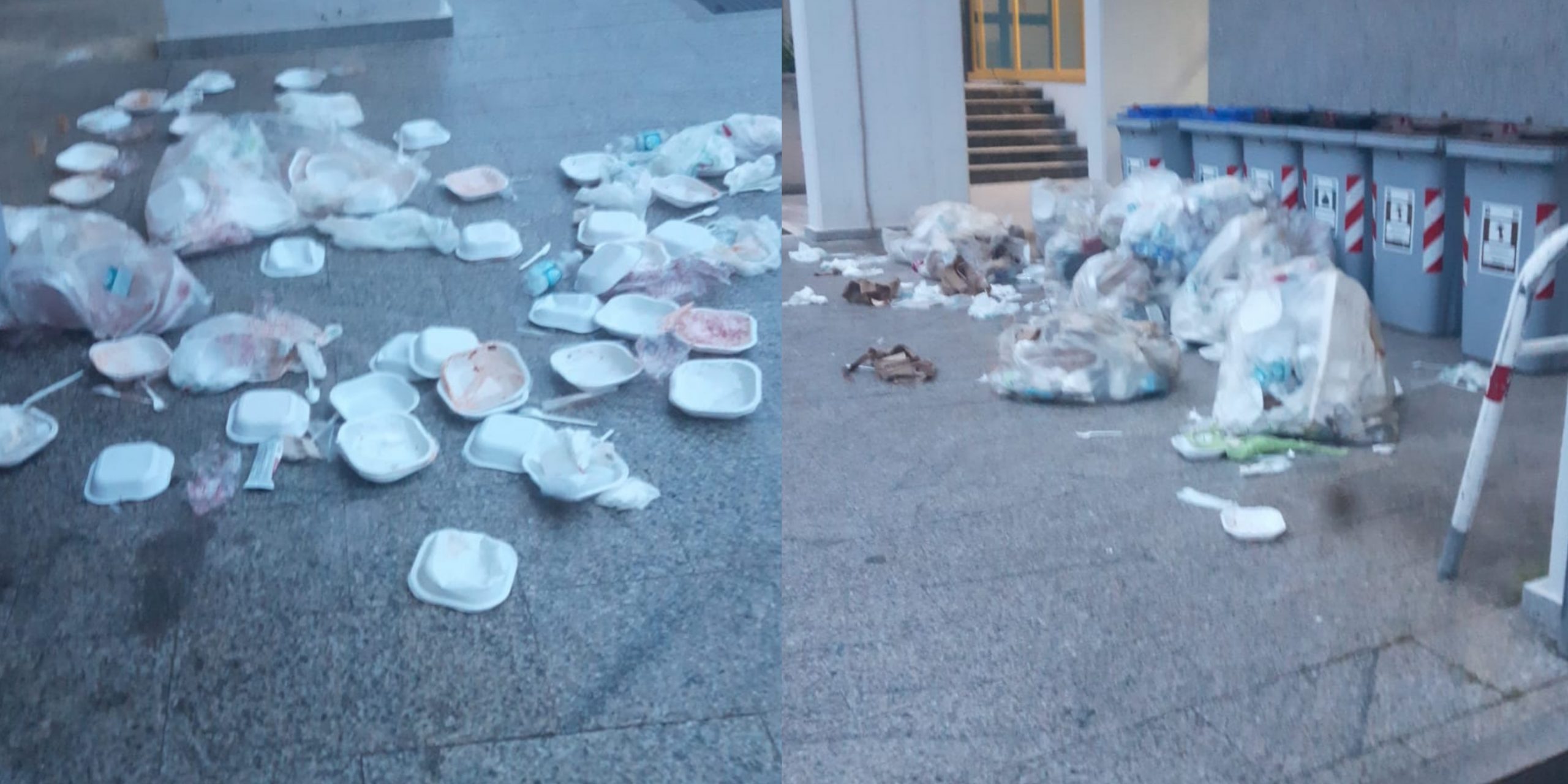Monserrato, spazzatura selvaggia alla Cittadella Universitaria: “Rifiuti saccheggiati dagli animali in cerca di cibo”