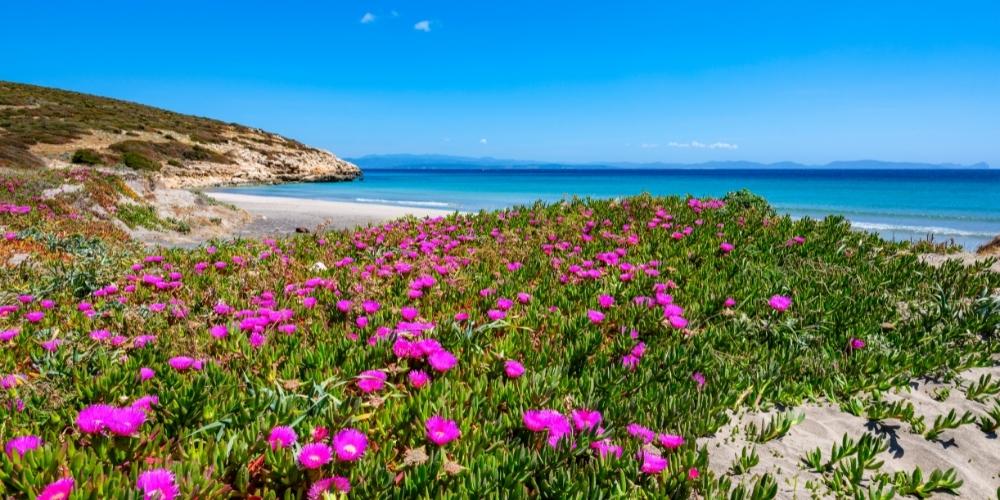 Meteo Casteddu, primavera fuori stagione sulla Sardegna: sole e 19 gradi
