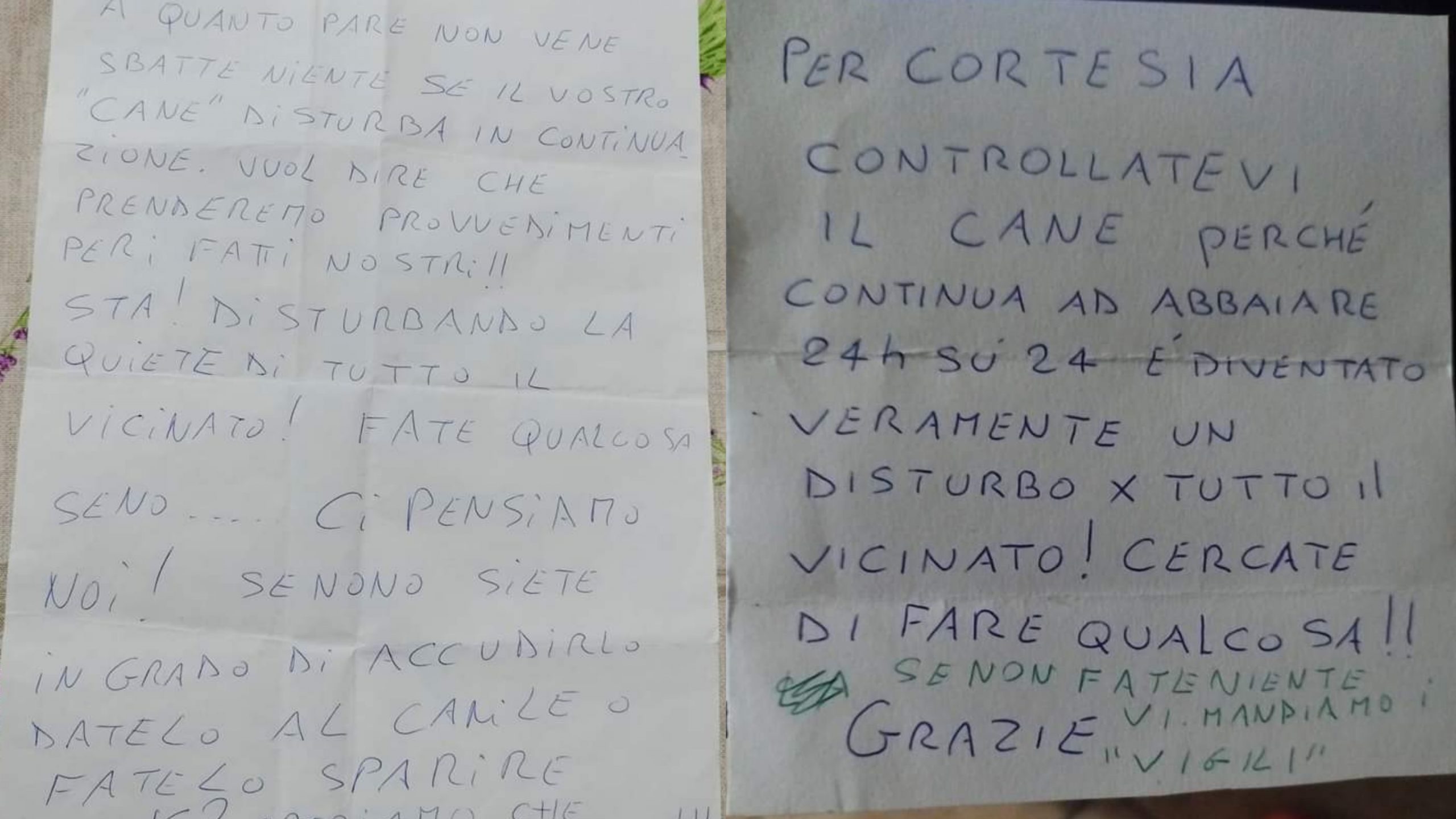 Capoterra: “Il cane abbaia troppo, fate qualcosa o ci pensiamo noi”
