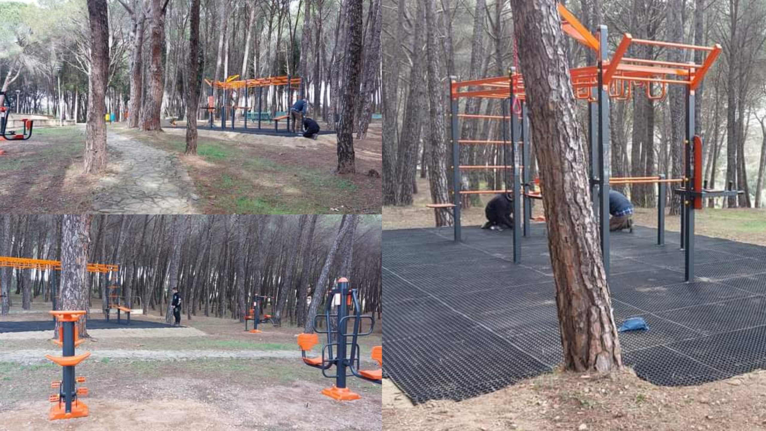Escalaplano, una palestra all’aperto nel parco della pineta