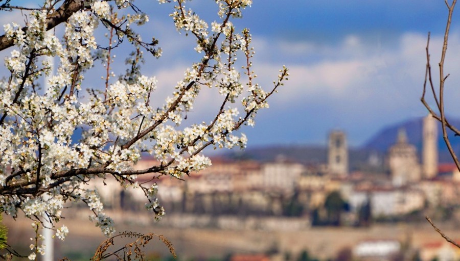 Meteo Casteddu, l’inverno non ritorna più: sole e picchi di 20 gradi sulla Sardegna