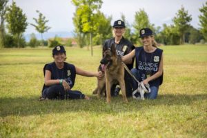 Sardegna, aperte le iscrizioni per diventare guardia zoofila Oipa