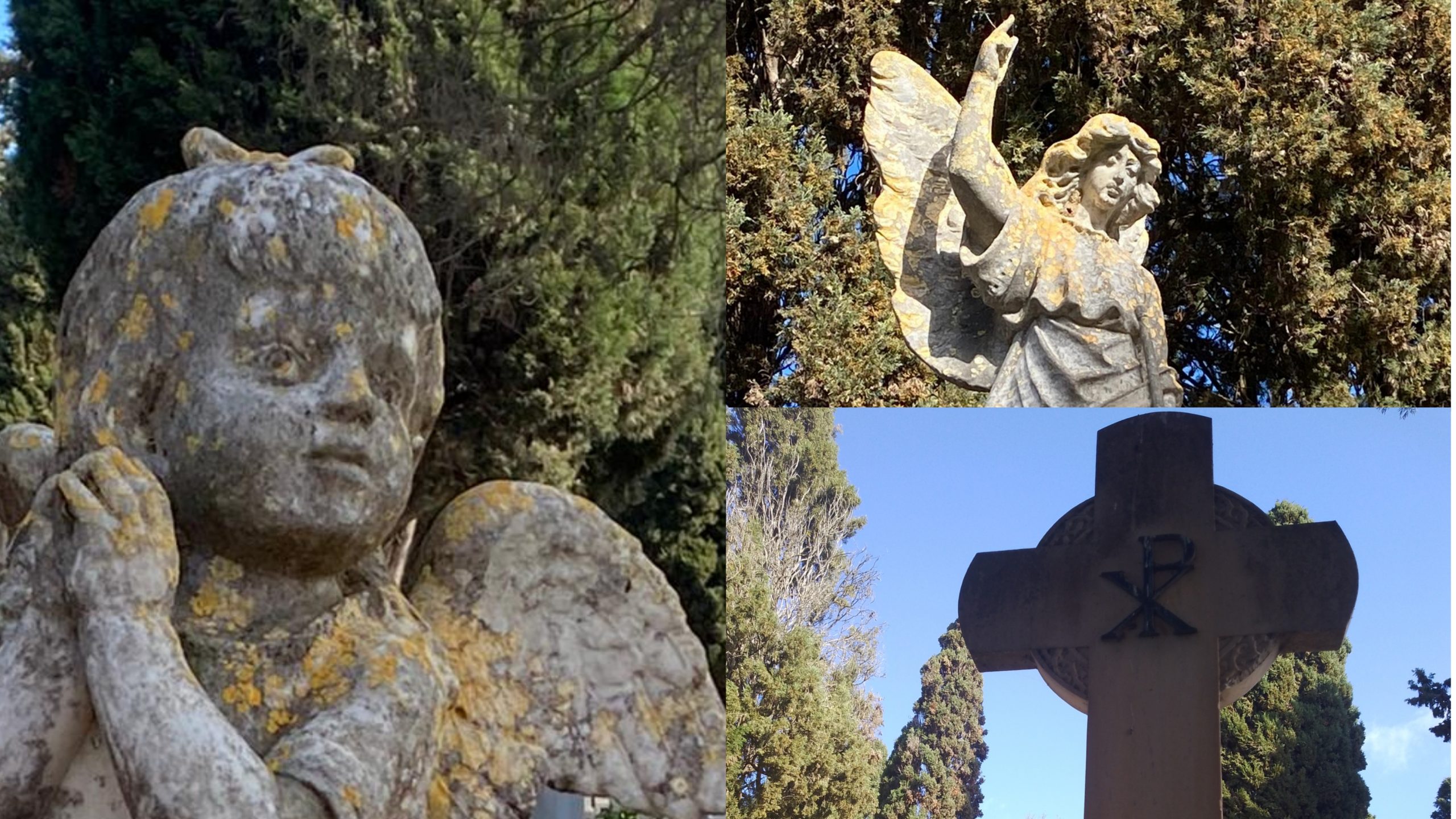 Statue liberty, minumenti e tombe sontuose: Serramanna punta al cimitero monumentale