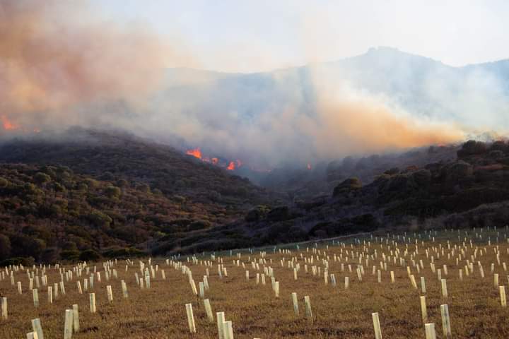 Sarroch, dopo il devastante incendio si contano i danni