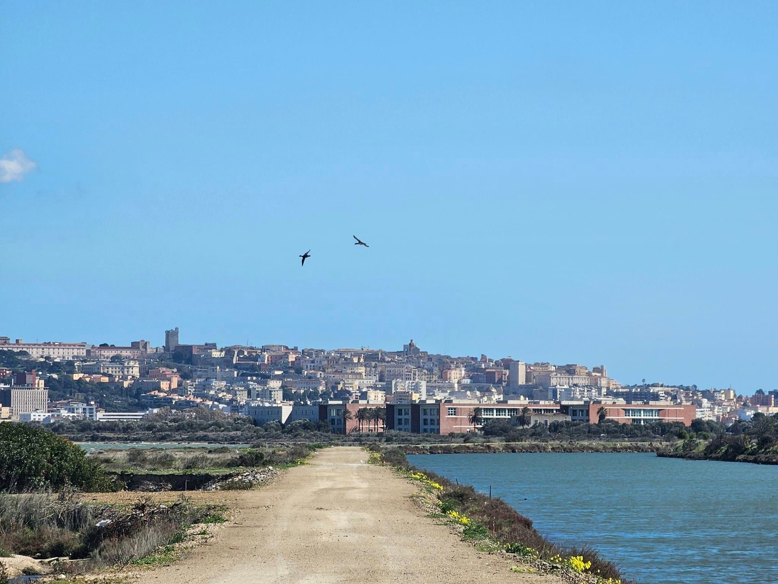 Cagliari, svolta turismo a Santa Gilla: nuovo percorso naturalistico da Macchiareddu a Sa Illetta