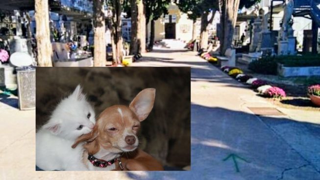 Nuovo regolamento cimiteriale a Monserrato, chi ha problemi di salute potrà chiedere un loculo senza scala