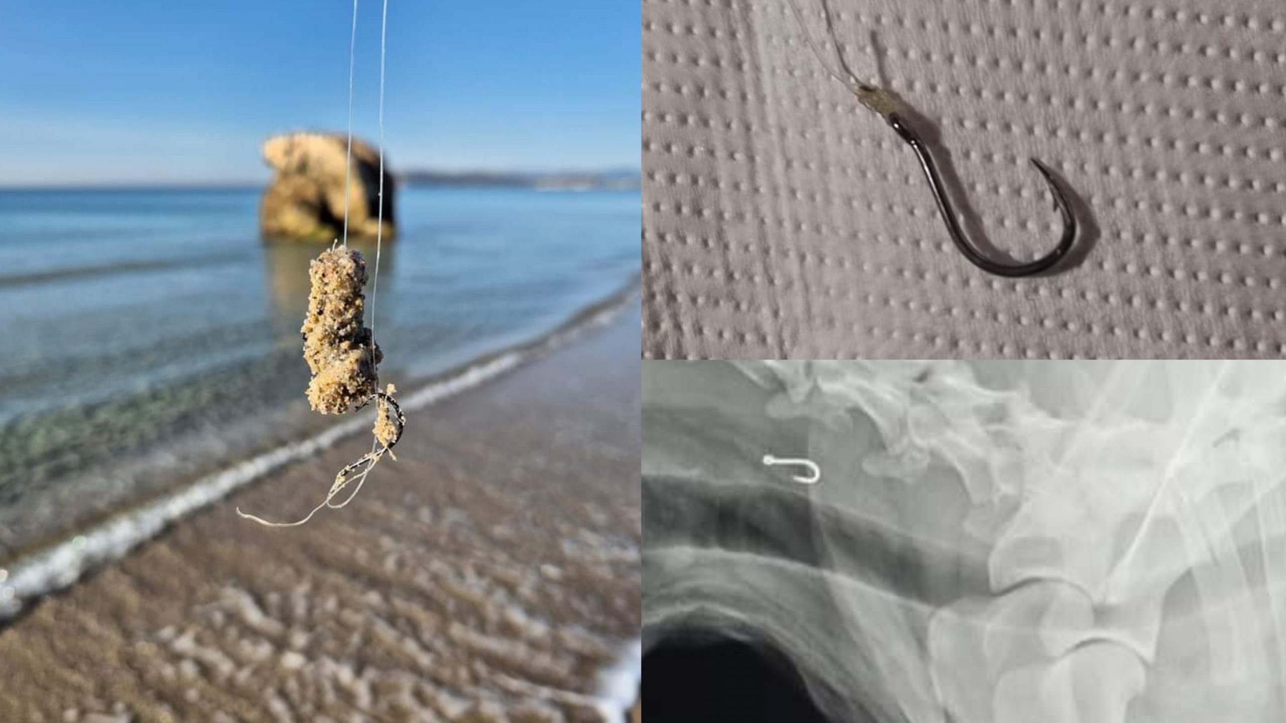 Amo e lenza da pesca nella spiaggia dedicata ai cani, si moltiplicano i racconti dei padroni