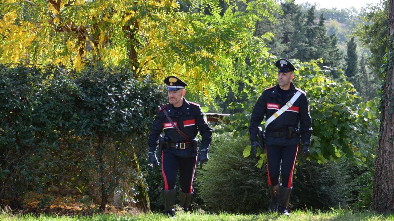 Uta, nonnino con un pollice verde “stupefacente” sorpreso a coltivare 88 piante di marijuana
