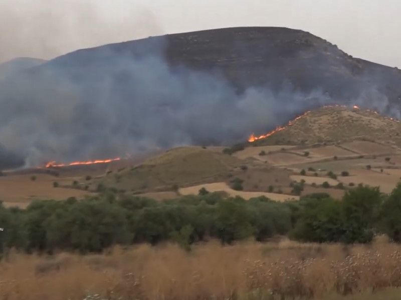 Inferno nelle campagne di Guasila, il fuoco si mangia tanti ettari e piante: task force di forestali e Canadair