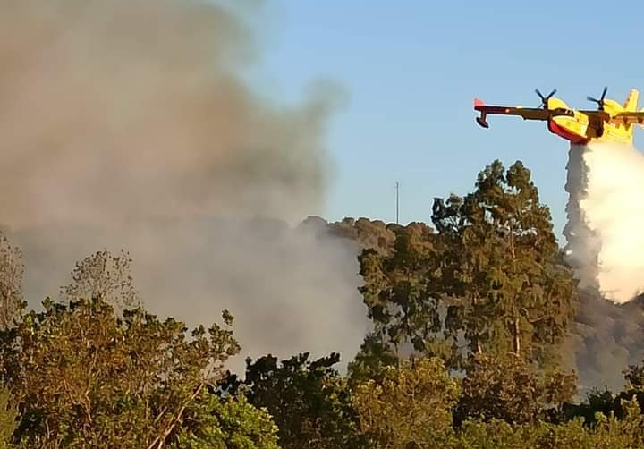 Incendi non stop in Sardegna, trema anche Castiadas: le fiamme divorano eucalipti e sterpaglie