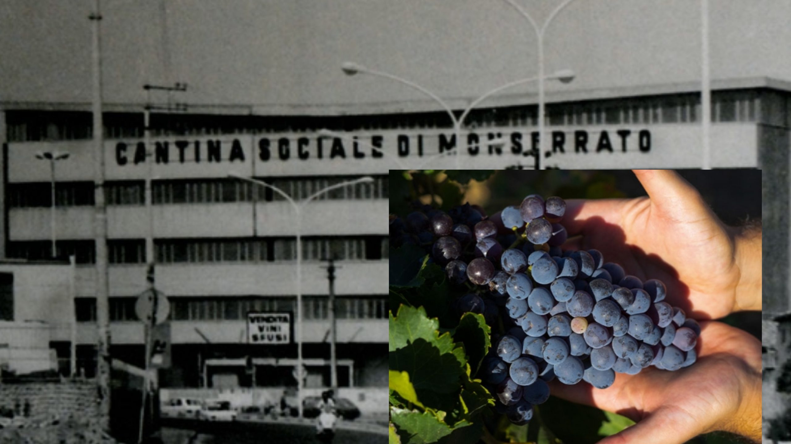Calici all’insù per la Cantina di Monserrato Pauli’s: sabato 6 luglio festeggerà il centenario