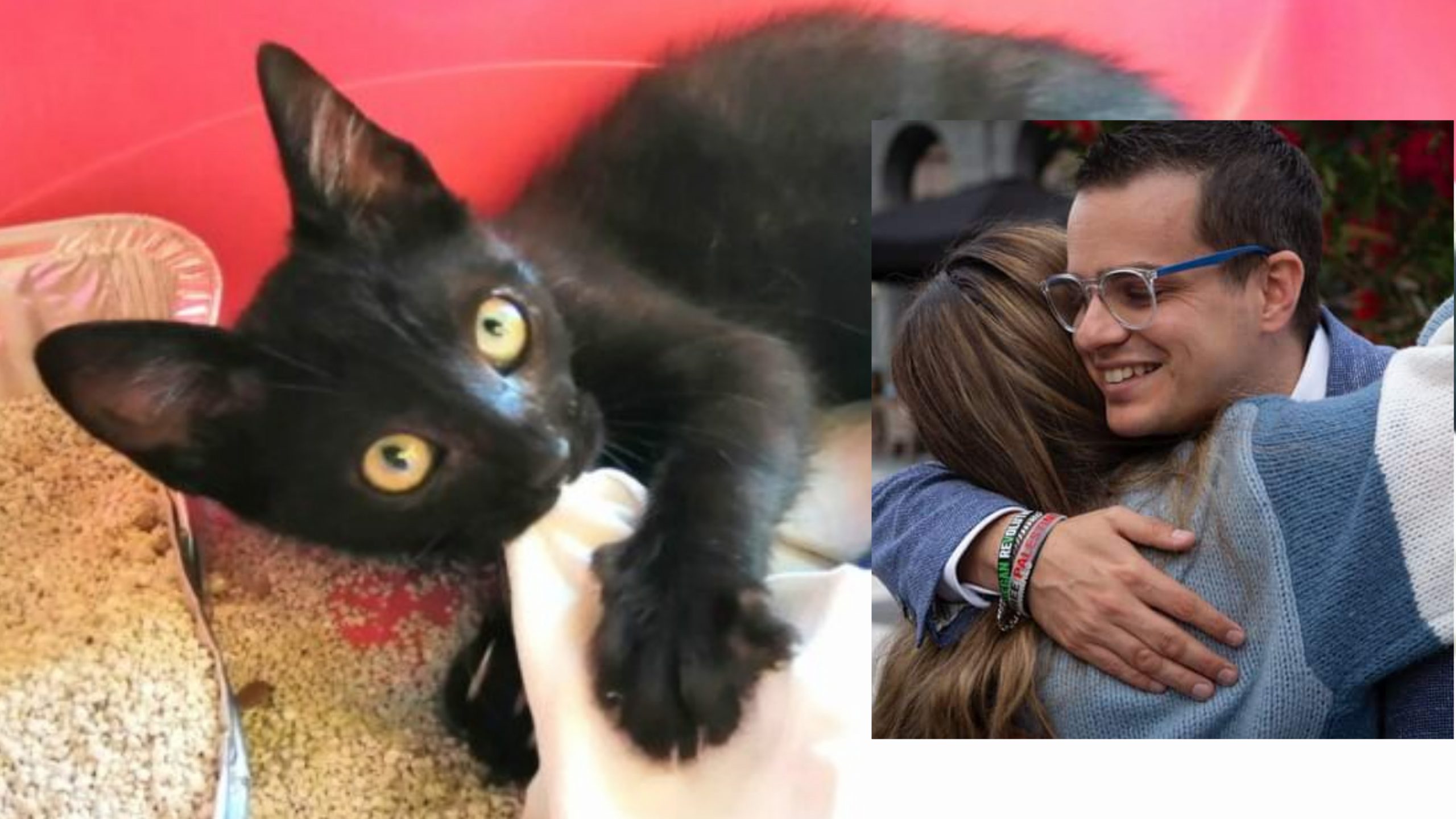 Gattino lanciato dal ponte, alta tensione per la manifestazione a Ilbono: solidarietà a Enrico Rizzi per le minacce di morte