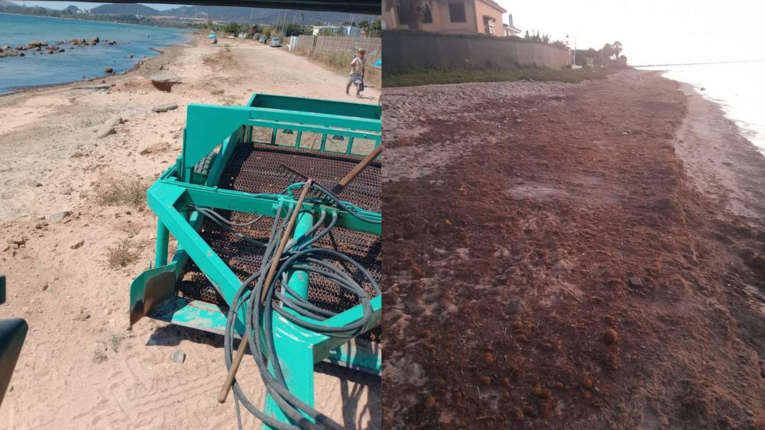 Capoterra, Torre degli Ulivi si fa bella: via la posidonia dalla spiaggia