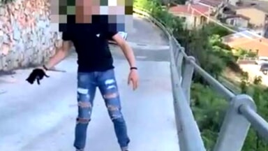 Insulti e minacce di morte a tutti dopo il video choc del gattino lanciato, il sindaco di Lanusei: “Basta con i forconi”