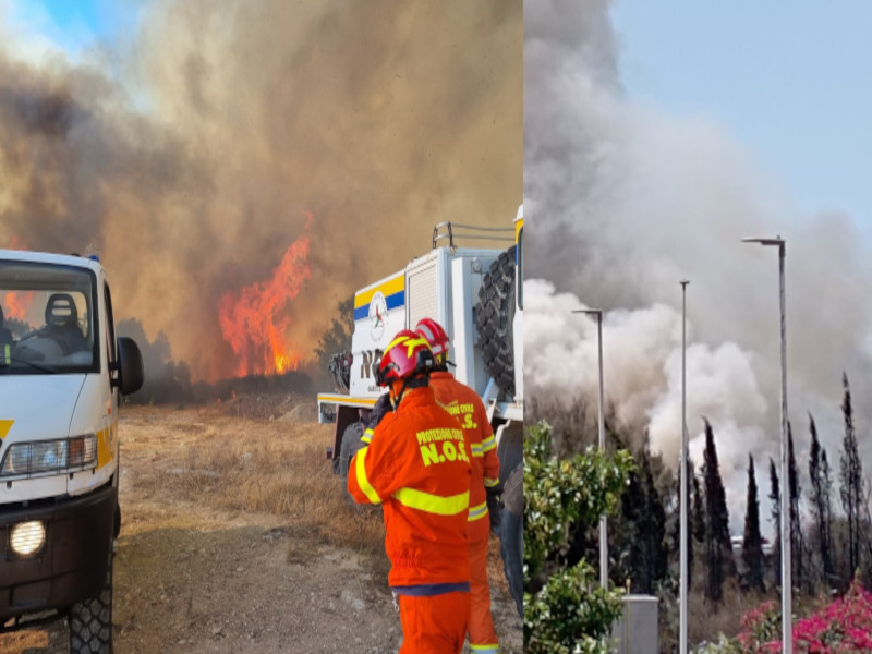 Un nuovo incendio fa tremare Quartu, fiamme domate ma fioccano polemiche: “A Molentargius pochi forestali”