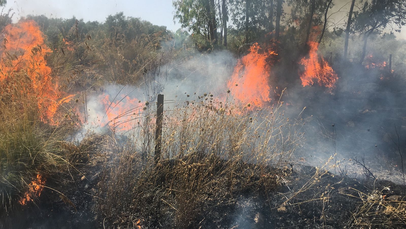 L’incendio c’è stato ma le prove non bastano, artigiano di Sardara assolto dopo due anni