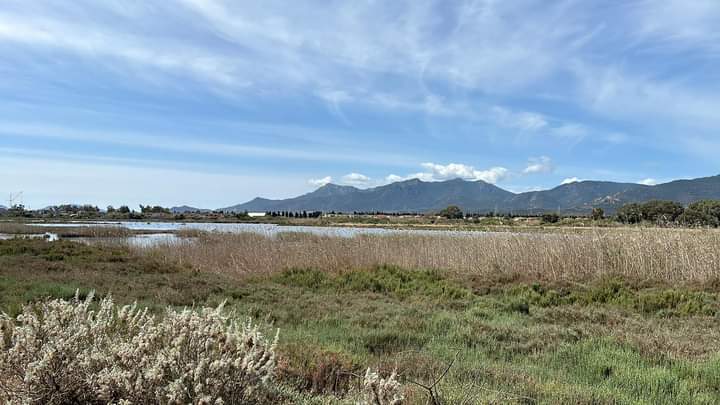 Capoterra: ecoturismo e vivai a Tanca Nissa, concessa l’area lagunare