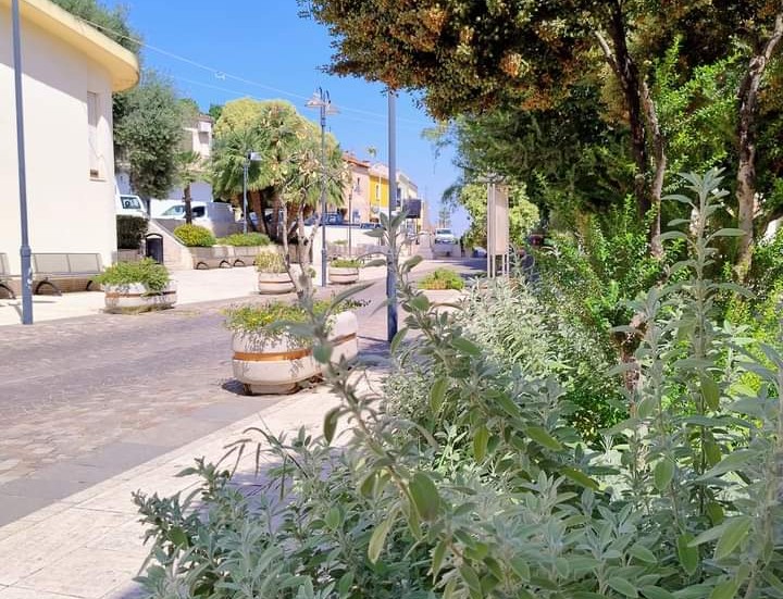 Vandali scatenati a Sarroch: distrutti tutti gli irrigatori in piazza Sa Ruxi