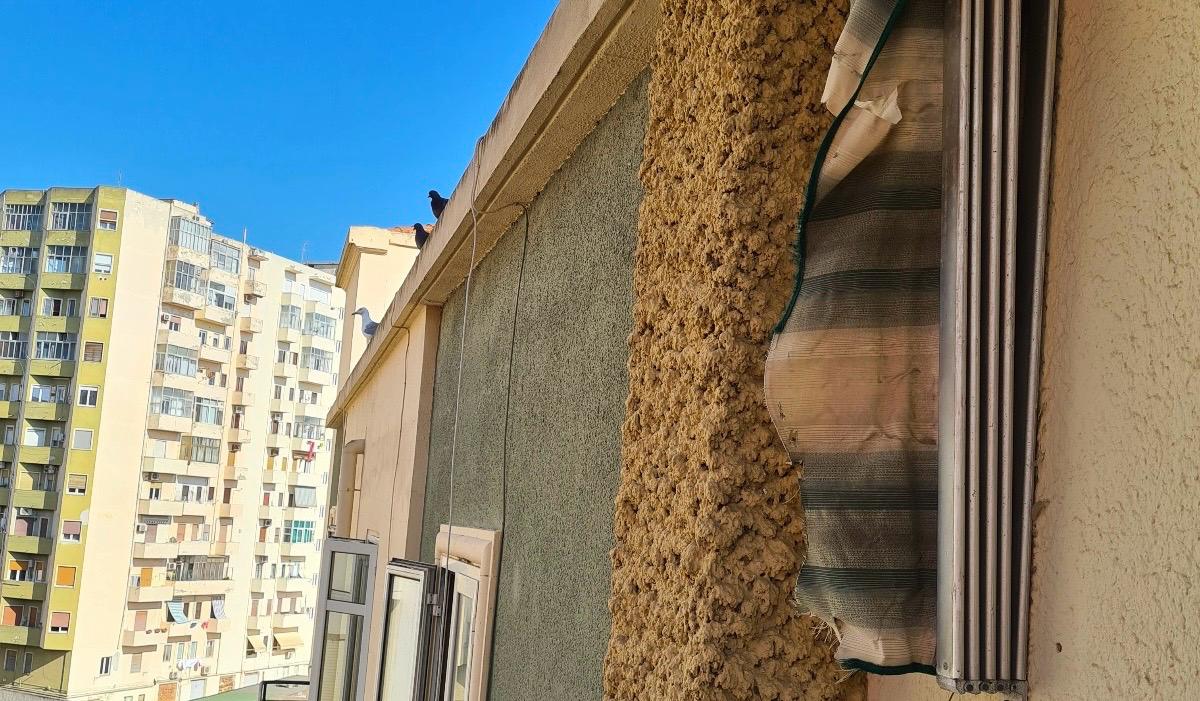 Cagliari, gabbiani e piccioni si godono il panorama del centro storico