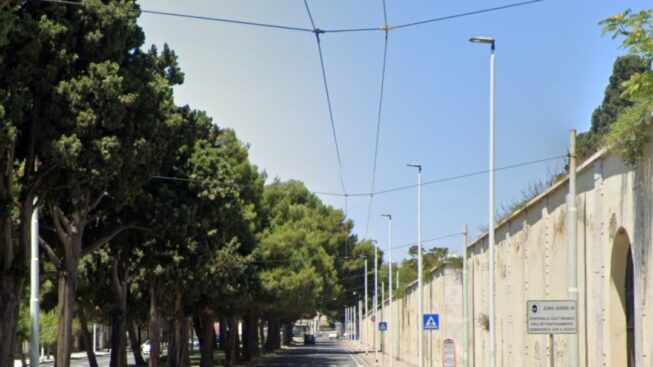 Cagliari, faranno spazio alla metro: via i lecci da viale Cimitero