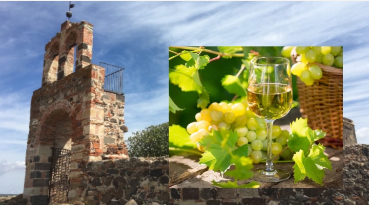 A Solarussa si festeggia la vernaccia: fine settimana tra musica e degustazioni