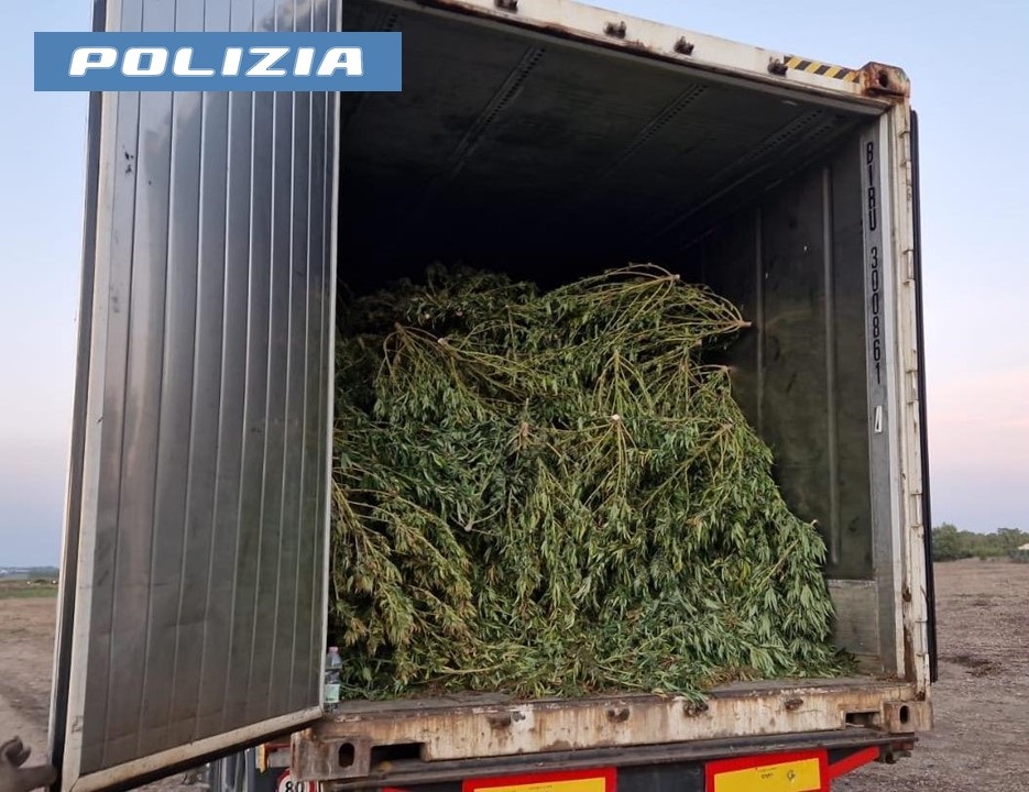 Sanluri, migliaia di piante di marjuana nei camion in fuga: inseguimento al cardiopalma nella notte, arrestato un 29enne