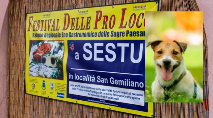 Sestu, la festa delle Pro Loco sbarra l’ingresso ai cani ed è polemica