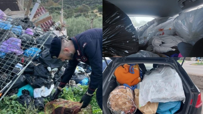 Quartu Sant’Elena, gara di solidarietà per i cani prelevati a Flumini: sono oltre 200 i volontari che si sono attivati