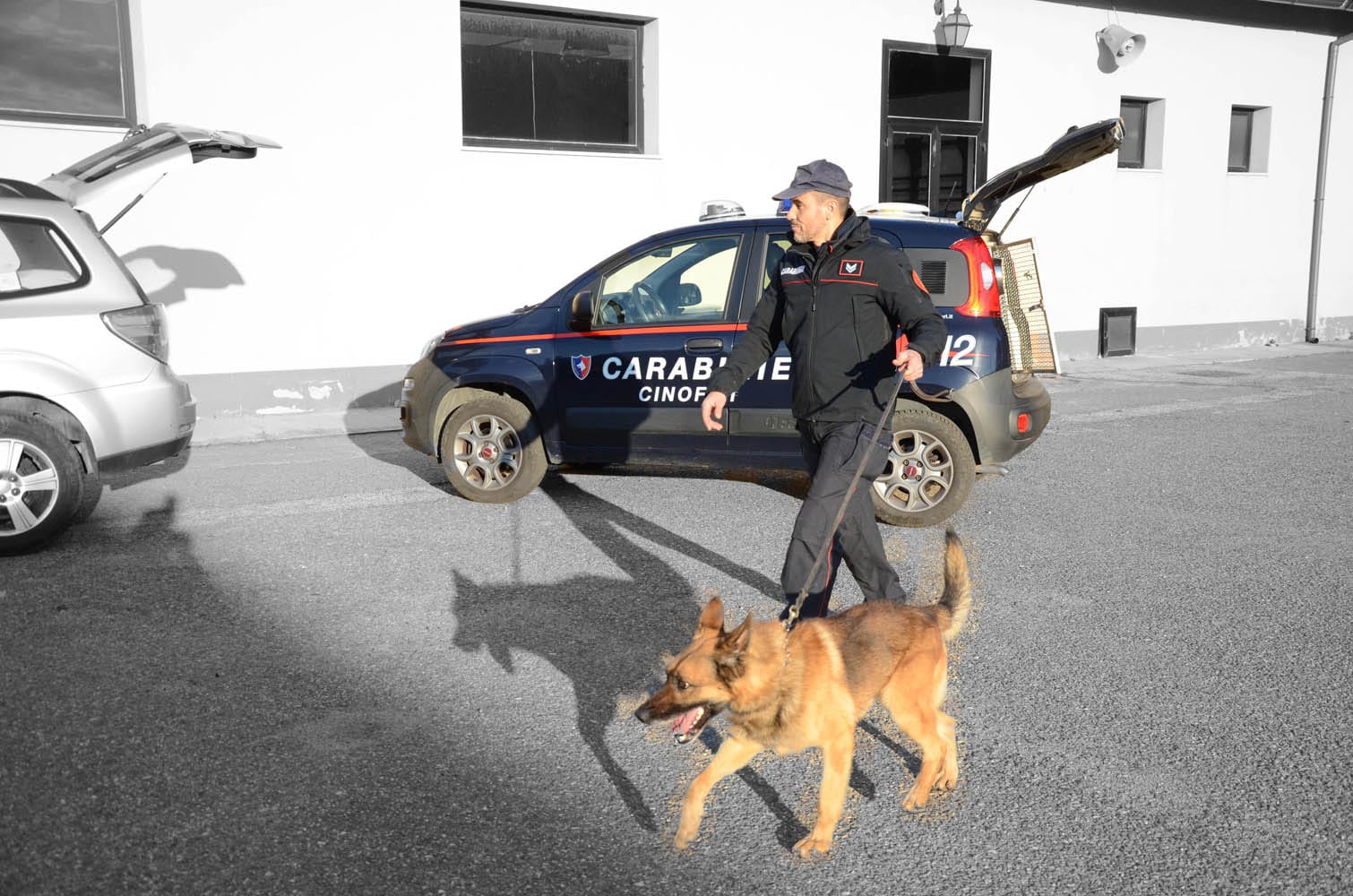 Orrore a Villasimius, cani in catene e senza acqua in un cortile pieno di rifiuti: denunciato 40enne
