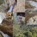 Monte Linas, il risveglio della natura: dopo le piogge riecco le cascate
