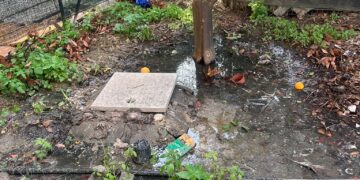Cagliari, in piazza Granatieri l’sos dei cittadini: “Tombini esplosi da mesi, siamo in ostaggio di blatte e topi” (VIDEO)