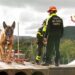 Unità operative speciali per i vigili del fuoco: Simo, Hermione e Joy, i tre nuovi cani addestrati del Nucleo Cinofilo