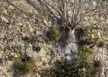 Cagliari invasa dalle perdite d’acqua: strada allagata in Viale Buoncammino (VIDEO)