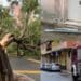 La bufera di Sant’Antonio mette in ginocchio l’isola, paura a Cagliari: alberi crollati, cadono grondaie e cornicioni
