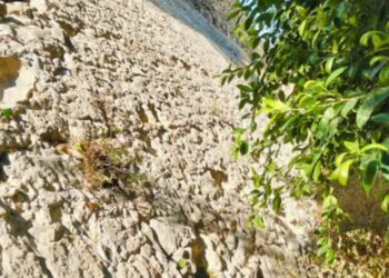 Tra viale Regina Margherita e via XX Settembre si cela un angolo di storia cittadina a molti sconosciuto: ecco il Rivellino de Jesus
