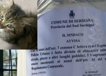 Serdiana, il divieto di somministrare il cibo agli animali in strada diventa un caso social