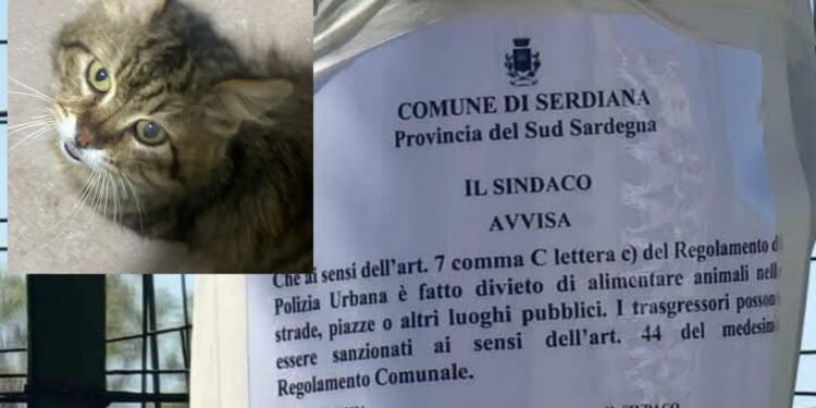 Serdiana, il divieto di somministrare il cibo agli animali in strada diventa un caso social