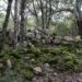 Assemini, il nuraghe immerso nel verde del Gutturu Mannu a rischio