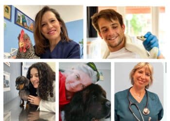 Radio Zampetta Sarda: la prevenzione attraverso l’informazione con esperti veterinari