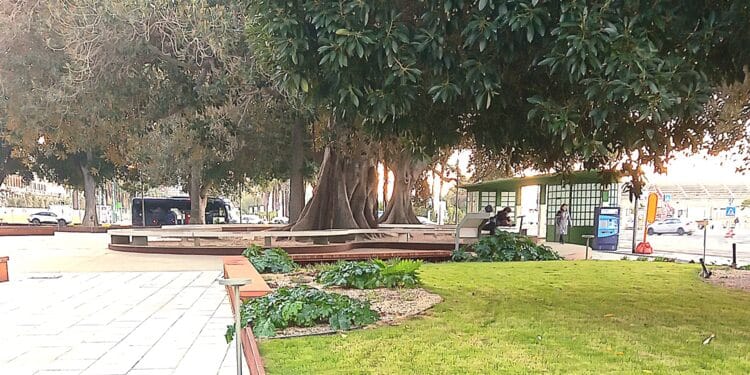 Cagliari, piazza Matteotti “nuovo gioiello da custodire”
