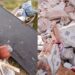 Geremeas sfregiata: gettate le macerie di un bagno lungo la litoranea