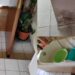 Cagliari, la battaglia di un figlio: “Mio padre disabile vive senza un bagno agibile, niente soldi per quelli come lui”