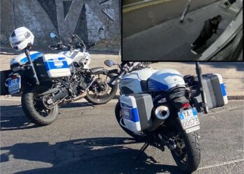 Cagliari, furti nelle auto parcheggiate in via Campania: incastrato un 32enne